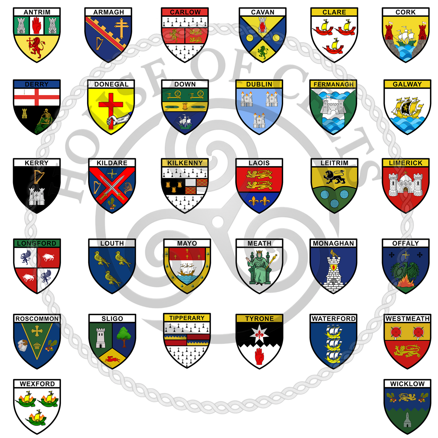 Custom Irish County Flag – 32 Counties Available | Choose Your County Crest