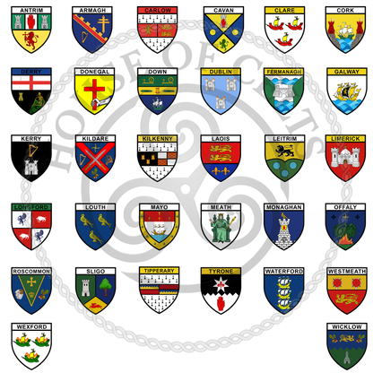 Custom Irish County Flag – 32 Counties Available | Choose Your County Crest