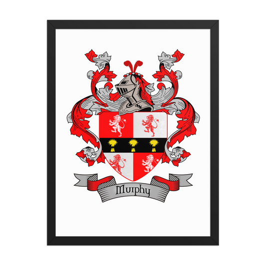 Custom Irish Family Coat of Arms – Framed Poster | Choose Your Surname